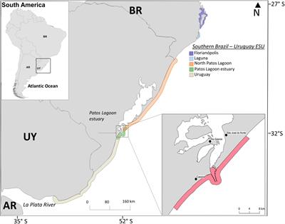 Dynamics and Viability of a Small, Estuarine-Resident Population of Lahille’s Bottlenose Dolphins From Southern Brazil